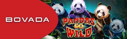 Bovada Casino es